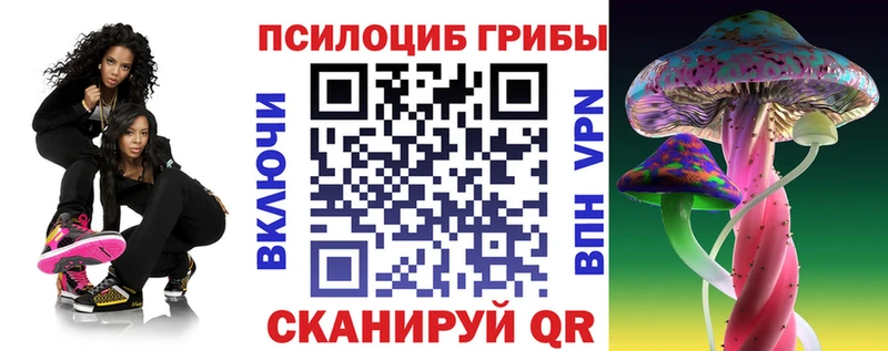 Купить  Каргополь  Псилоцибиновые грибы прущие грибы 