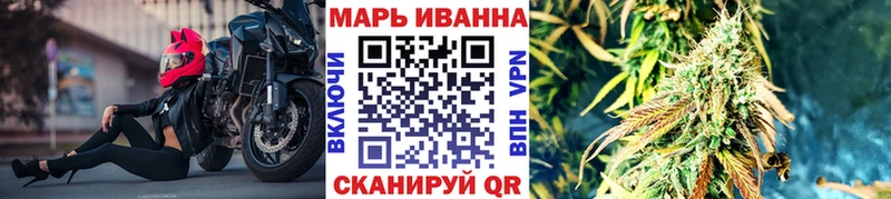 Бошки марихуана сатива  Купить закладки  Каргополь 